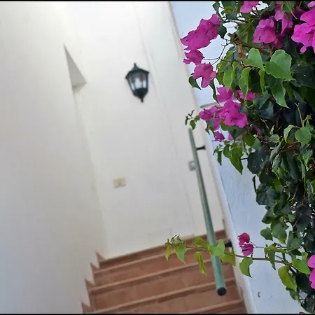 La Ola * コラレホ